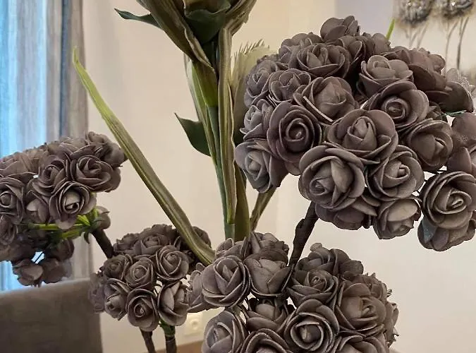 Apartament The Grey Rose